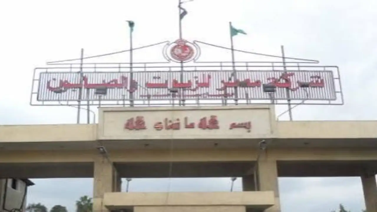 مصر للزيوت والصابون تخطط لتحقيق فائض 2.8 مليون جنيه قريبًا